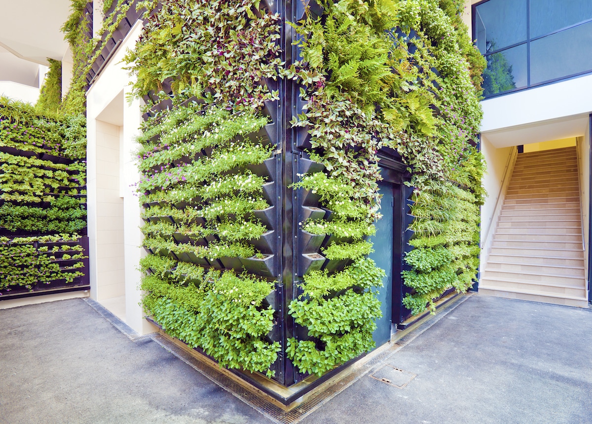 green wall systems vertical garden landscaping services vertical green