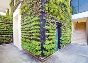 green walls vertical gardens