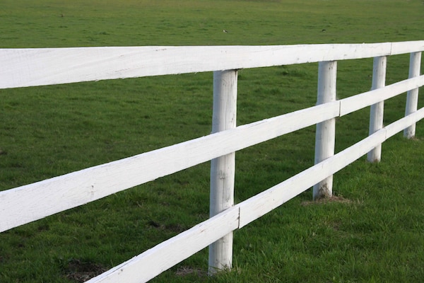 post and rail fencing