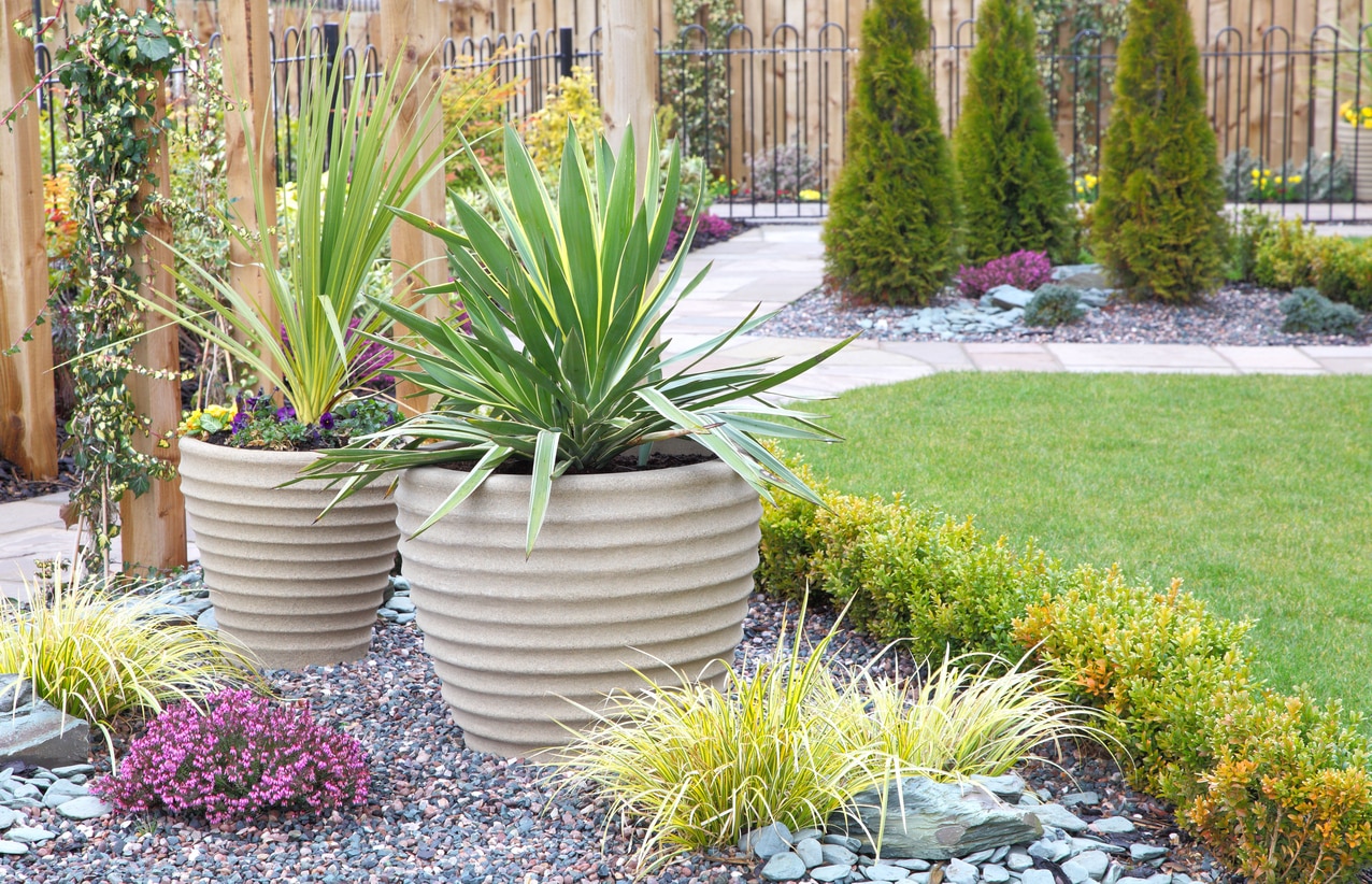 Garden Pebbles Backyard Decorative Pebbles For Garden Cost Prices