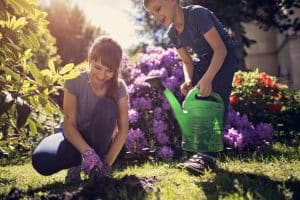 gardening tips for spring in melbourne