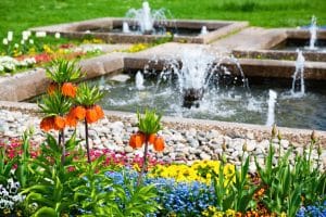 how to start a garden from scratch