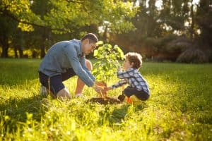 what to plant in spring