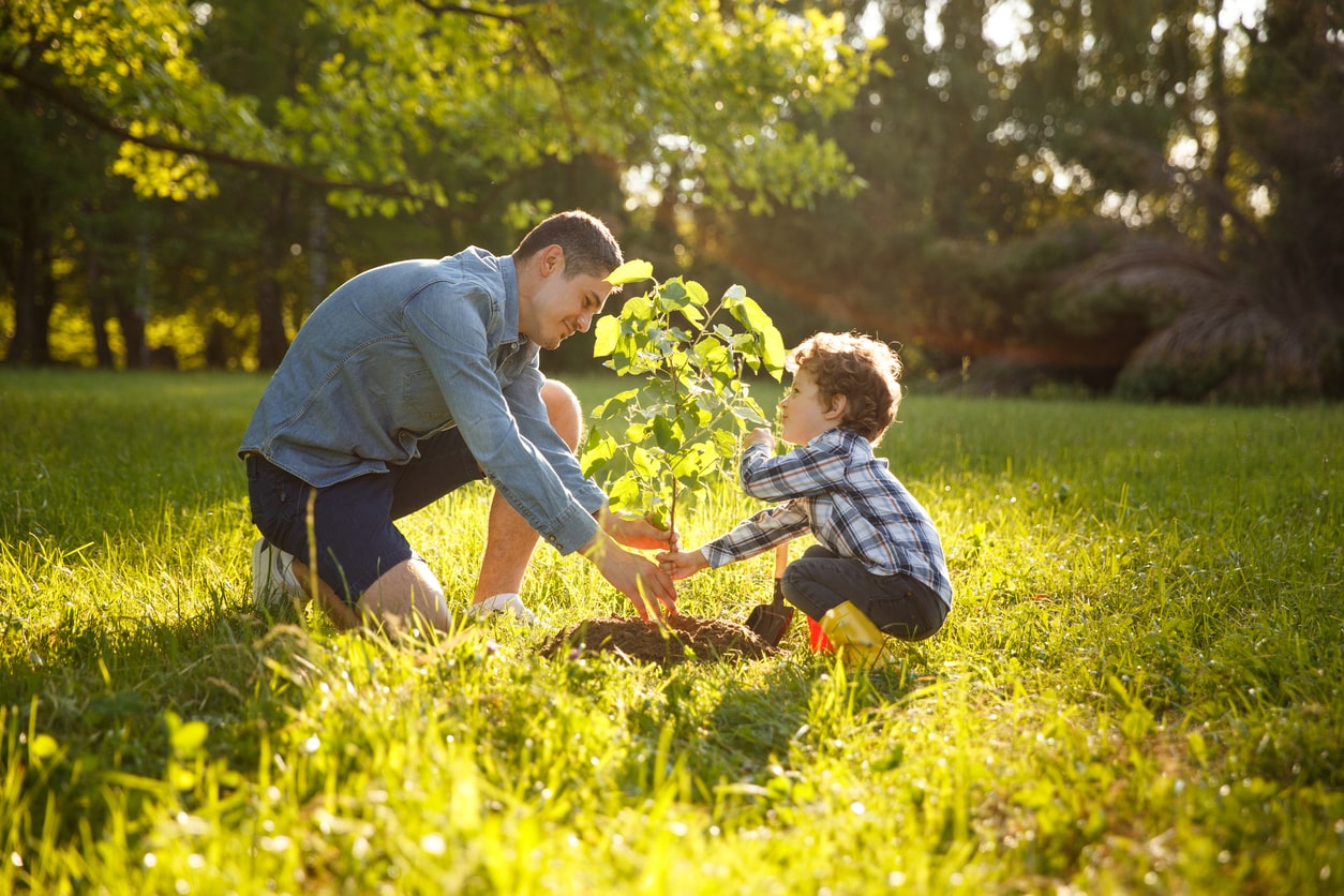 what to plant in spring