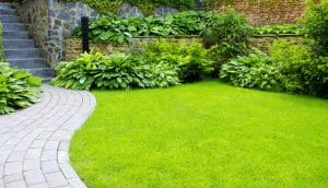 how to create a minimalist garden