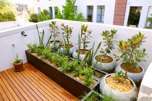 DIY Gardening Ideas for Small Urban Spaces