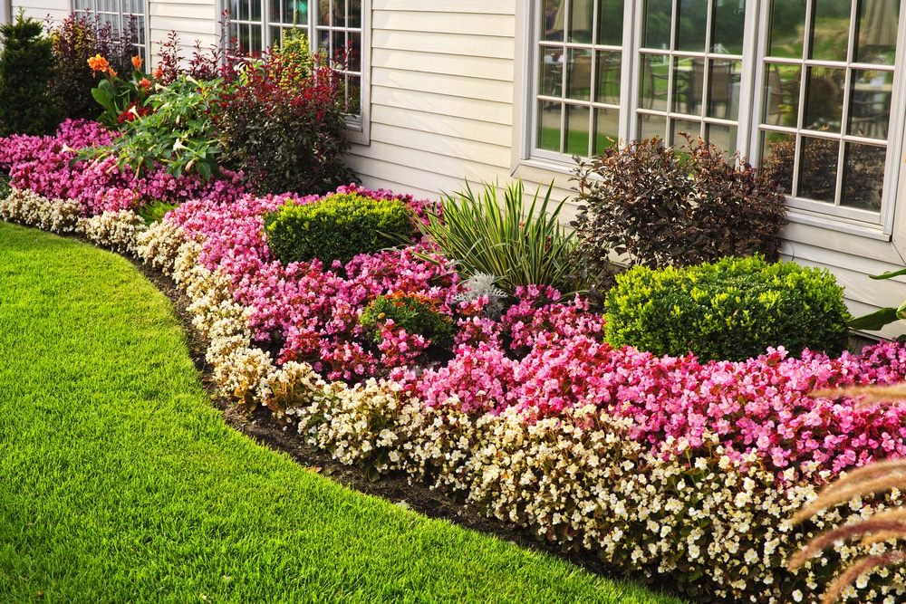 landscape design for beginners