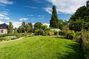 DIY landscaping ideas